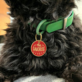 The favorite dog tag