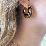 Brown Acrylic Earrings