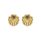 Statement shell earrings