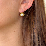 Little shell earrings