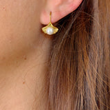 Little shell earrings